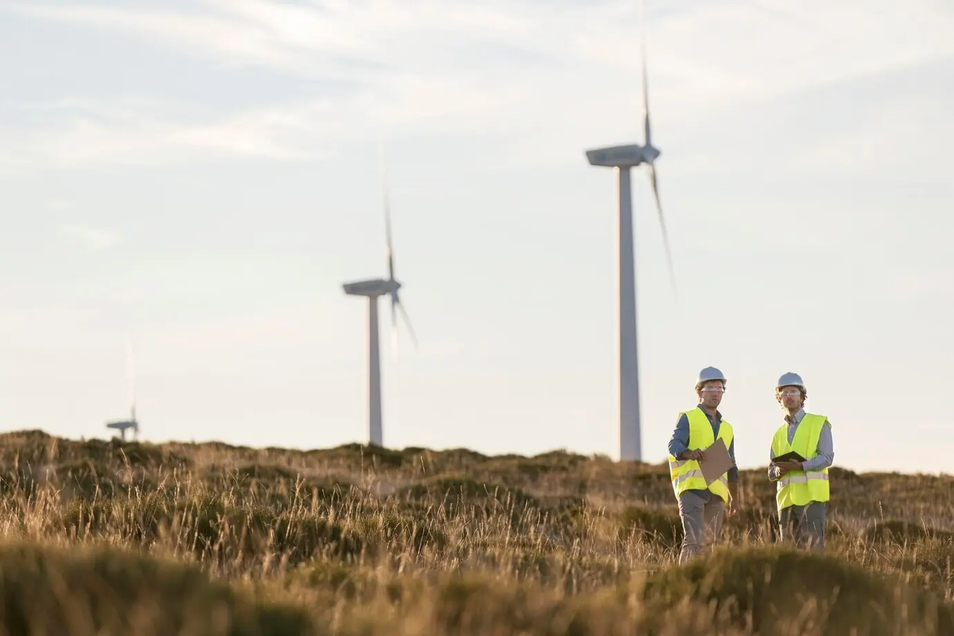 Felder mit Windparks